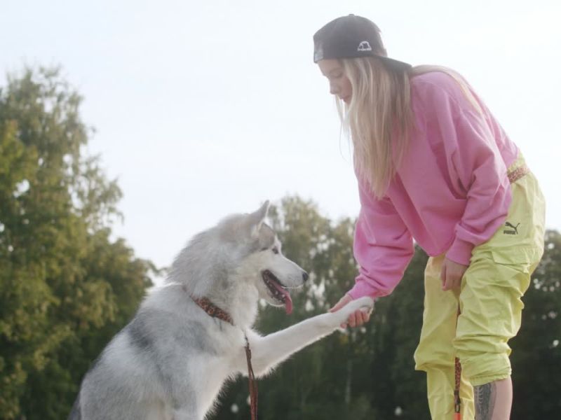 devojka uči psa da da šapu